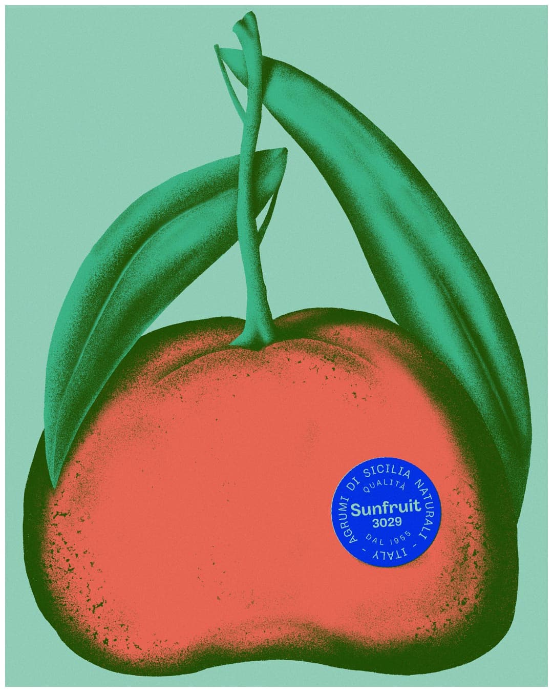 mandarin-illustration©AndreaRubele