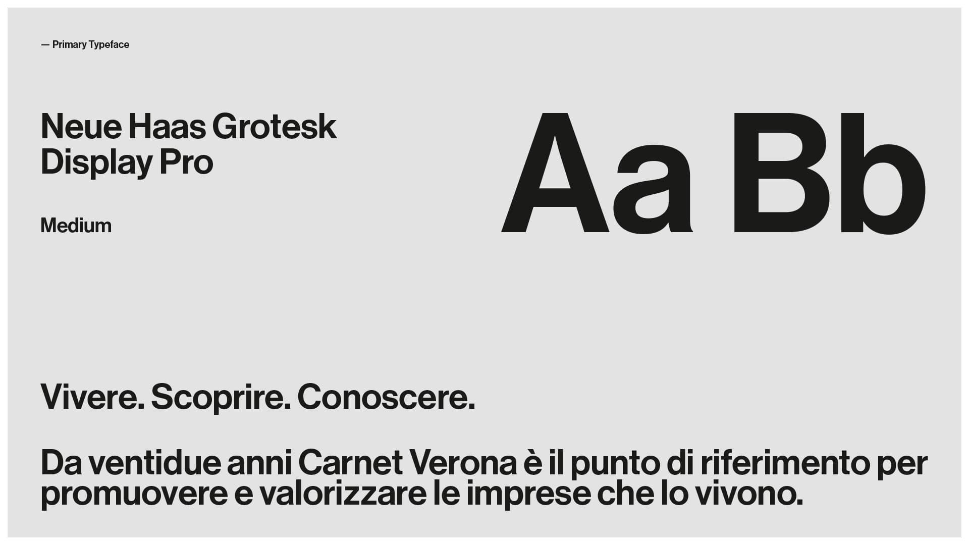 CarnetVerona-font1b-AndreaRubele©2025