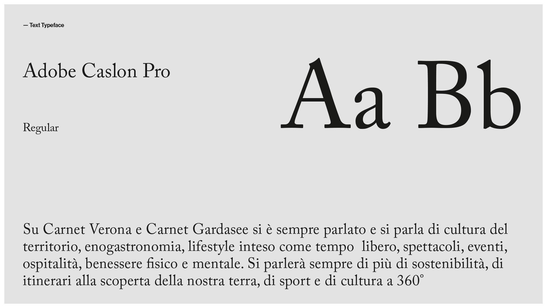 CarnetVerona-font2b-AndreaRubele©2025