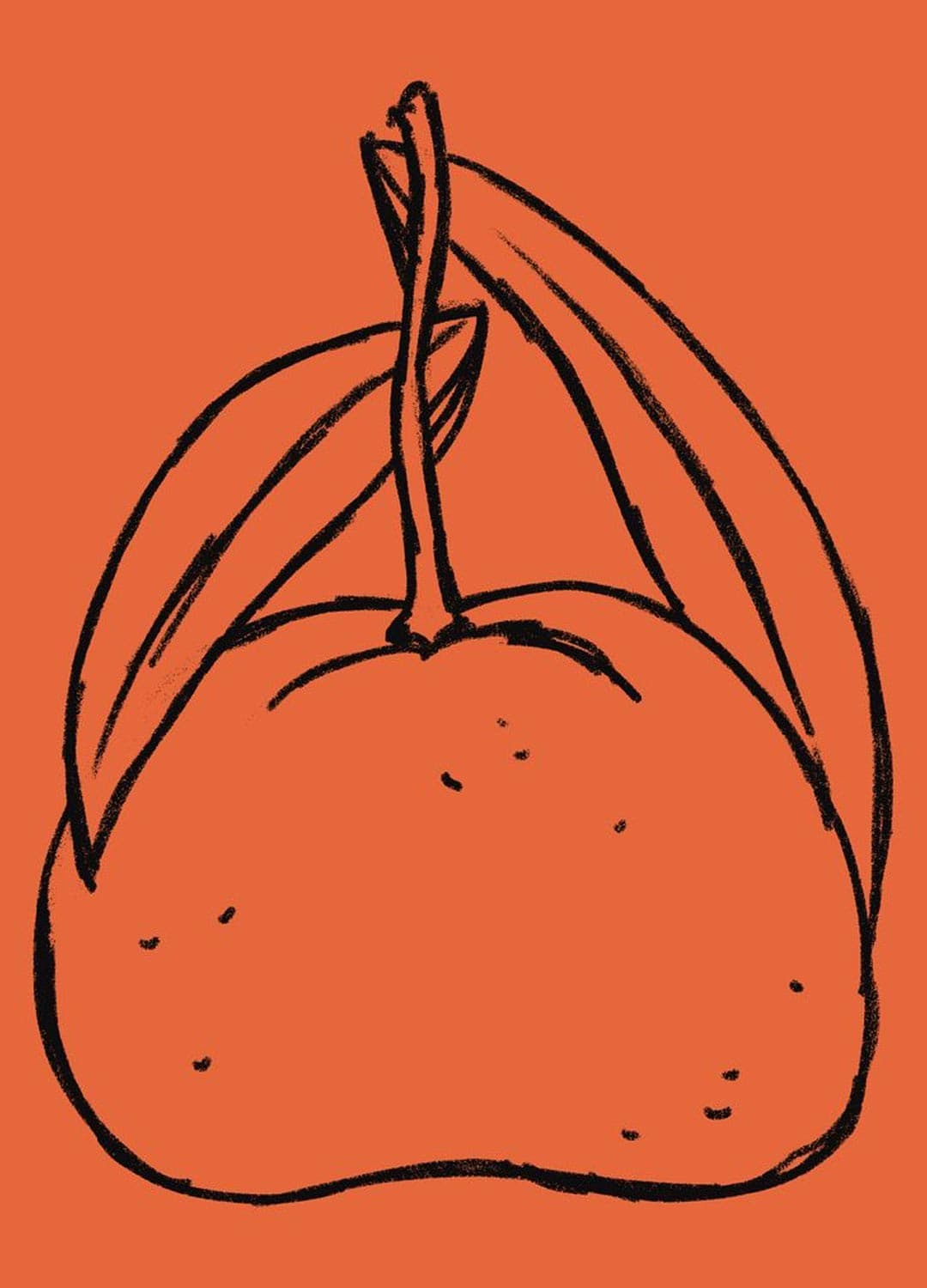 mandarin-sketch-andrearubele