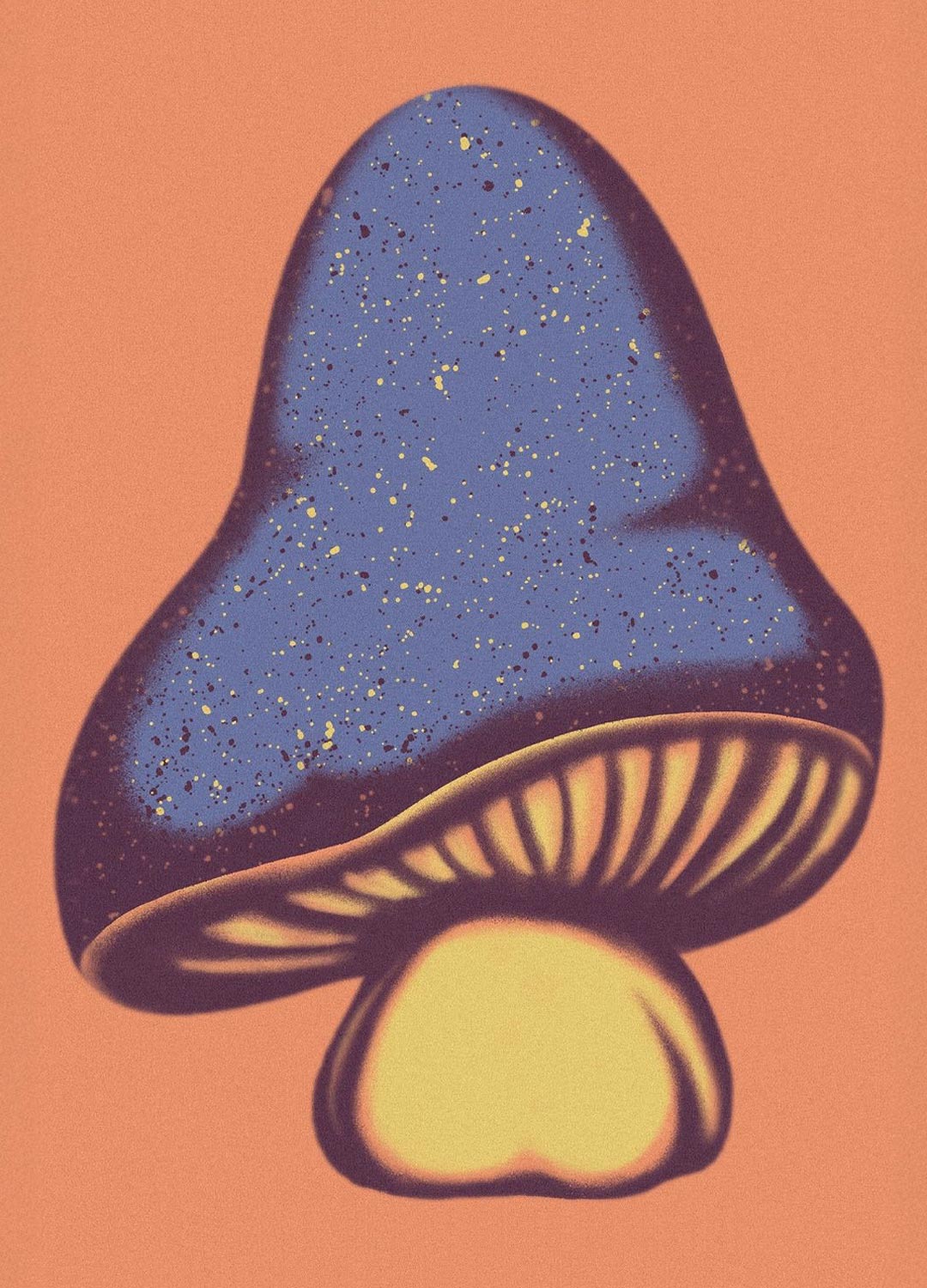 mushroom-illustration-andrearubele